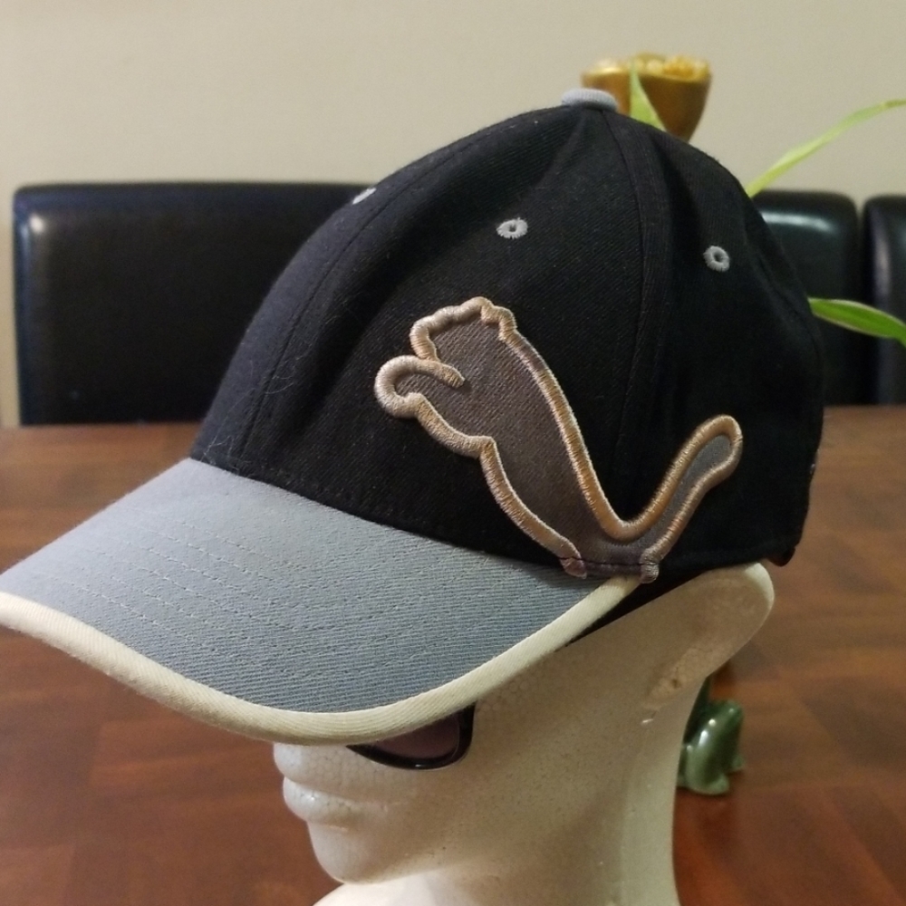 Cap - Picture 2 of 5